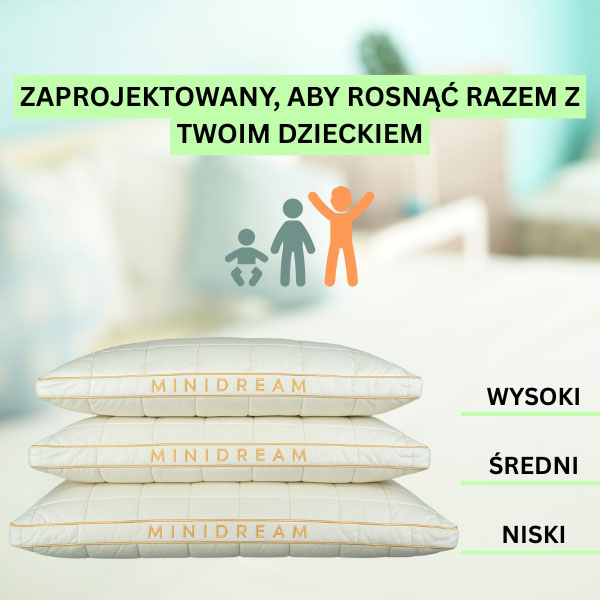 MINIDREAM
